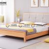 Giường ngủ gỗ sồi tự nhiên đầu nệm Caro GNĐN-11SN