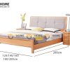 Giường ngủ gỗ sồi tự nhiên đầu nệm Caro GNĐN-11SN