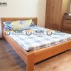 Giường ngủ gỗ sồi tự nhiên Nova GN-25SM
