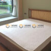 Giường ngủ Rew gỗ sồi tự nhiên đầu mây màu óc chó GN-19SN