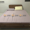 Giường Ngủ Gỗ Sồi Tự Nhiên Đầu Oval Bigo Màu Óc Chó GN-28SN