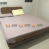 Giường Ngủ Gỗ Sồi Tự Nhiên Đầu Oval Bigo Màu Óc Chó GN-28SN