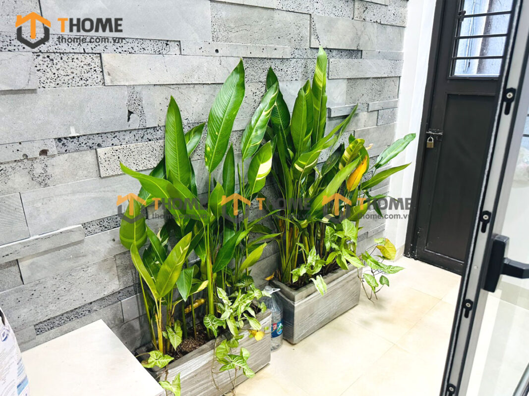 Hình Ảnh Thi Công Gỗ Sồi Tự Nhiên Nhà Chị Quyên Sơn Trà TTTC-36SN