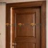 Cửa Ra Vào Gỗ Sồi Tự Nhiên Kiểu 01 CUAGO-01SN